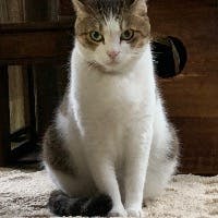 AKIRAさんのプロフィールアイコン