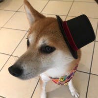 Tamaki Sakamotoさんのプロフィールアイコン