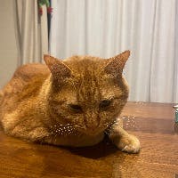 suuさんのプロフィールアイコン