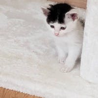 momoさんのプロフィールアイコン