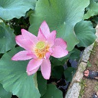 住吉さんのプロフィールアイコン