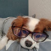 あいさんのプロフィールアイコン