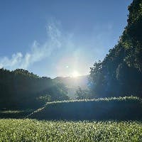 横井あずささんのプロフィールアイコン