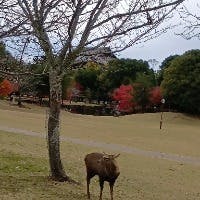 hestiaさんのプロフィールアイコン