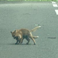 Val43さんのプロフィールアイコン