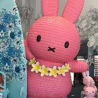 うさこさんのプロフィールアイコン