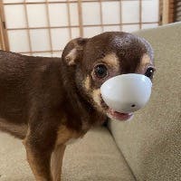 umiさんのプロフィールアイコン