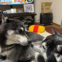 恒吉　健さんのプロフィールアイコン