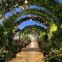 Yunaさんのプロフィールアイコン