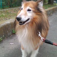 fatb20jpさんのプロフィールアイコン