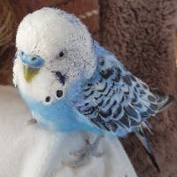 mさんのプロフィールアイコン
