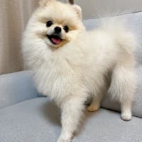 MICHIYOさんのプロフィールアイコン
