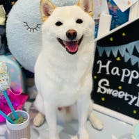 Terry Shindoさんのプロフィールアイコン