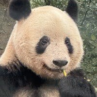 ららんさんのプロフィールアイコン
