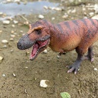 つんぼろさんのプロフィールアイコン