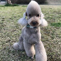 すーさんのプロフィールアイコン