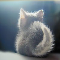 あやさんのプロフィールアイコン