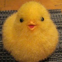 がみさんのプロフィールアイコン