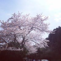 高橋　行尊さんのプロフィールアイコン
