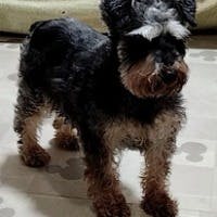 luckyさんのプロフィールアイコン