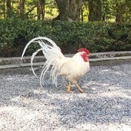 恵輔さんのプロフィールアイコン