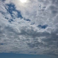 堀川薫さんのプロフィールアイコン