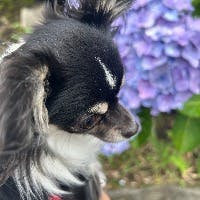 Kiyokoさんのプロフィールアイコン