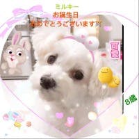 森光一さんのプロフィールアイコン