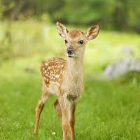 あいりさんのプロフィールアイコン