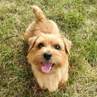 志念（しねん）さんのプロフィールアイコン
