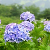 TomikoTakahashiさんのプロフィールアイコン