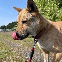 まことさんのプロフィールアイコン