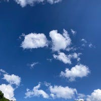 田沼規孝さんのプロフィールアイコン
