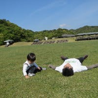 ナザイさんのプロフィールアイコン