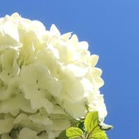 たかさんのプロフィールアイコン