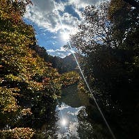 naorenさんのプロフィールアイコン