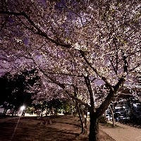 高須　渚さんのプロフィールアイコン