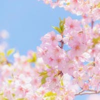 ゆうさんのプロフィールアイコン