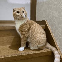 AiKotaさんのプロフィールアイコン