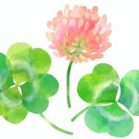 キウチヤスシさんのプロフィールアイコン
