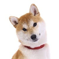 rincoさんのプロフィールアイコン
