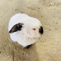 りょたさんのプロフィールアイコン