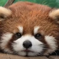 はるさんのプロフィールアイコン