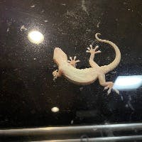 teisugiyamaさんのプロフィールアイコン