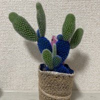 神田さんのプロフィールアイコン