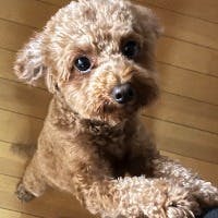 muneさんのプロフィールアイコン