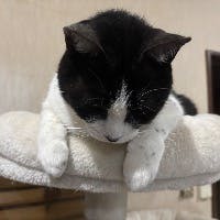 紫音2525さんのプロフィールアイコン