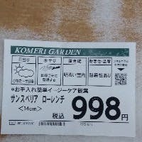 岸田純一さんのプロフィールアイコン