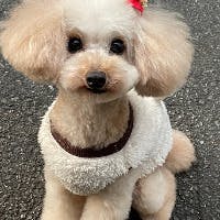 川池　幸代さんのプロフィールアイコン