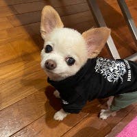 ふくちゃんさんのプロフィールアイコン